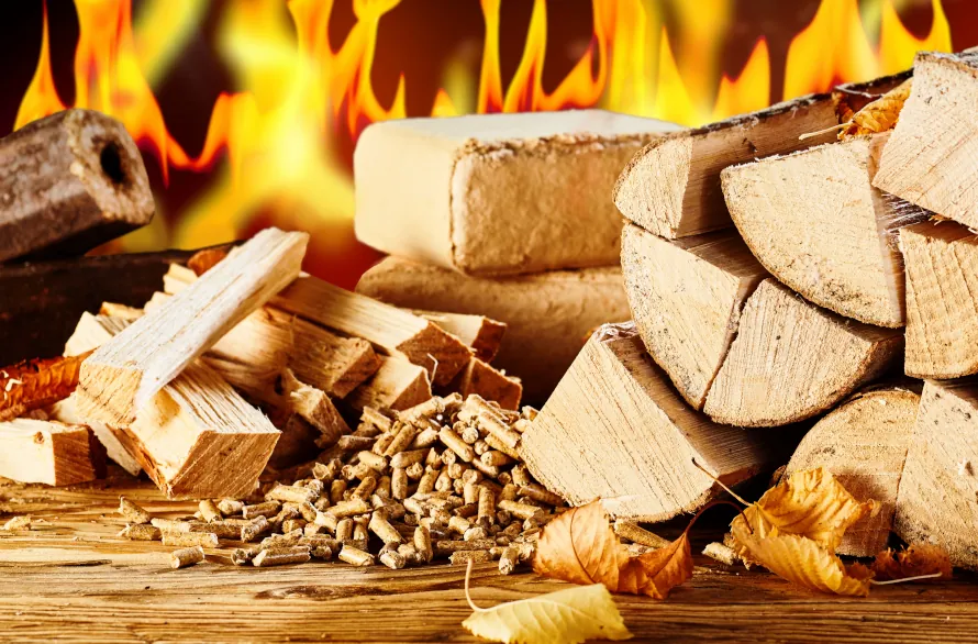 Kotły na pellet i drewno – oferta NEX Energia